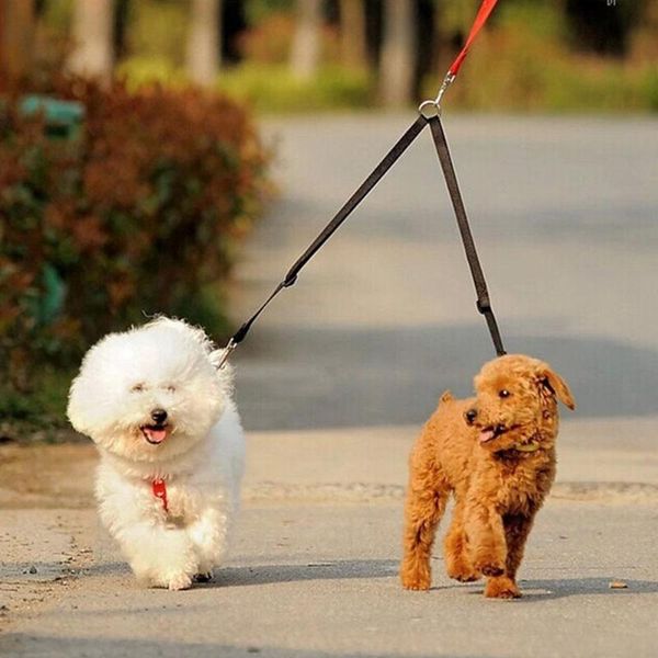 dog collars & leashes asypets nylon couple double pet collar lead leash training walking harness strap-25
dog collars & leashes asypets nylon couple double pet collar lead leash training walking harness strap-25
