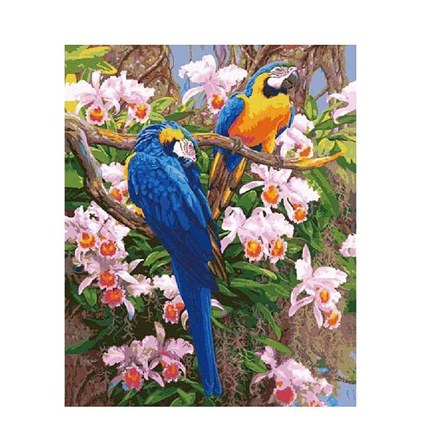 paintings selilali painting two parrots by numbers animal oil pictures number for adults home decoration
paintings selilali painting two parrots by numbers animal oil pictures number for adults home decoration