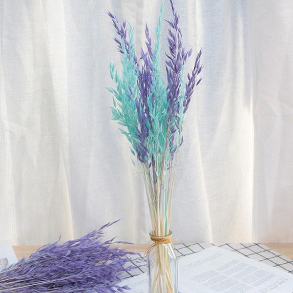 decorative flowers & wreaths dried natural plant oats branch,real dry eternal ears of wheat flower bouquet for home room decor,wedding decor
decorative flowers & wreaths dried natural plant oats branch,real dry eternal ears of wheat flower bouquet for home room decor,wedding decor