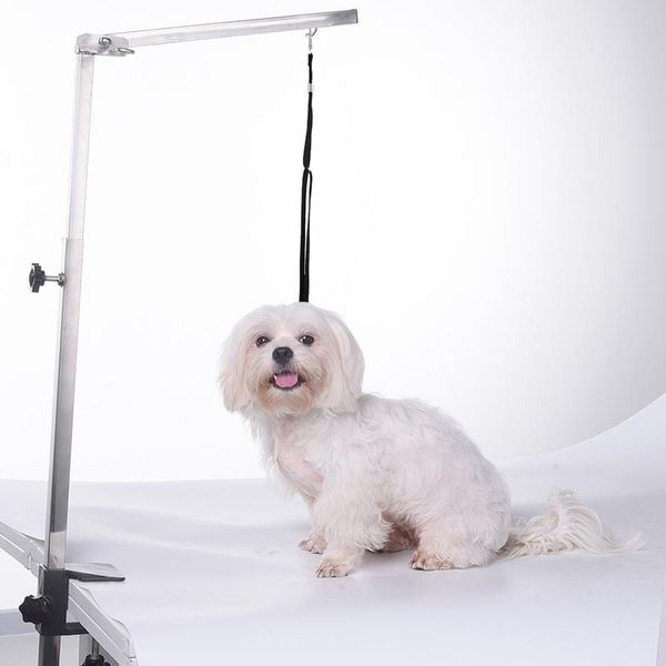 dog apparel pets steel suspension grooming bracket with sling adjustable metal table arm support cat holder for bath desk
dog apparel pets steel suspension grooming bracket with sling adjustable metal table arm support cat holder for bath desk