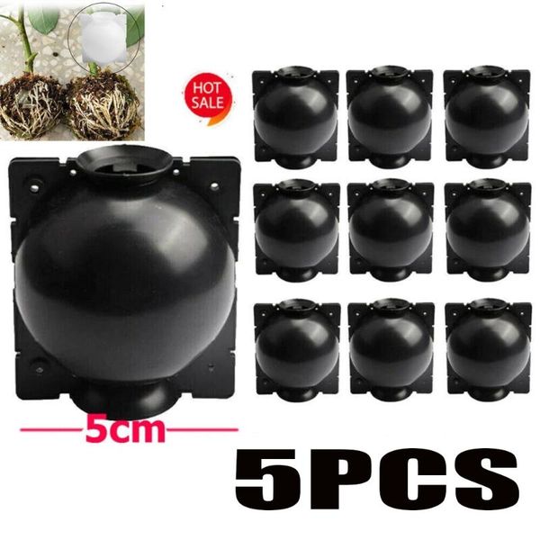 planters & pots 5pcs plant rooting ball grafting growing box breeding case root for garden 5/8cm in diameter
planters & pots 5pcs plant rooting ball grafting growing box breeding case root for garden 5/8cm in diameter