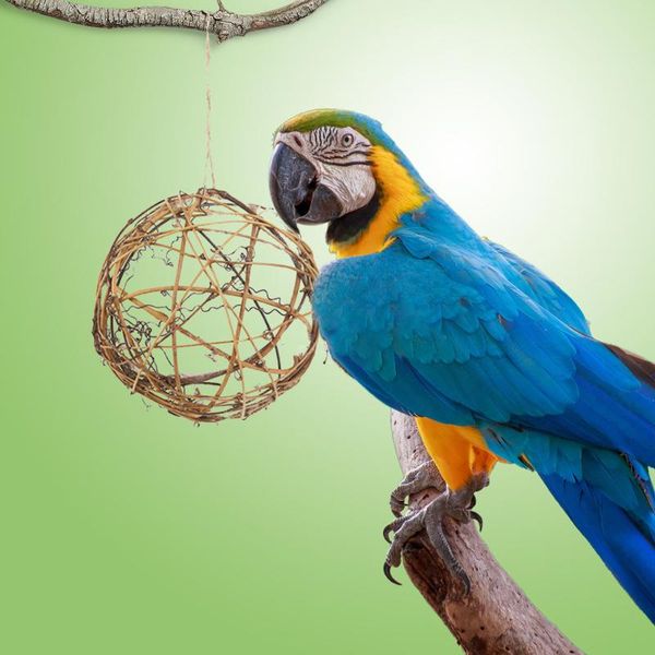 other bird supplies 2pcs natural ofuji balls bite toy parrot swing pet toys reusable sepak takraw provide nesting materials for hummingbirds
other bird supplies 2pcs natural ofuji balls bite toy parrot swing pet toys reusable sepak takraw provide nesting materials for hummingbirds