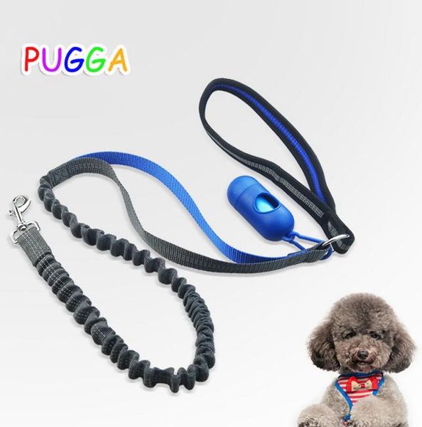 reflective dog leash running elastic walking training lead black gray 150cm collars & leashes
reflective dog leash running elastic walking training lead black gray 150cm collars & leashes