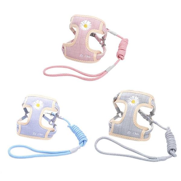 dog collars & leashes home pet household or kitchen items cat leash light color walking lead set for puppy dogs collar daisy pets
dog collars & leashes home pet household or kitchen items cat leash light color walking lead set for puppy dogs collar daisy pets