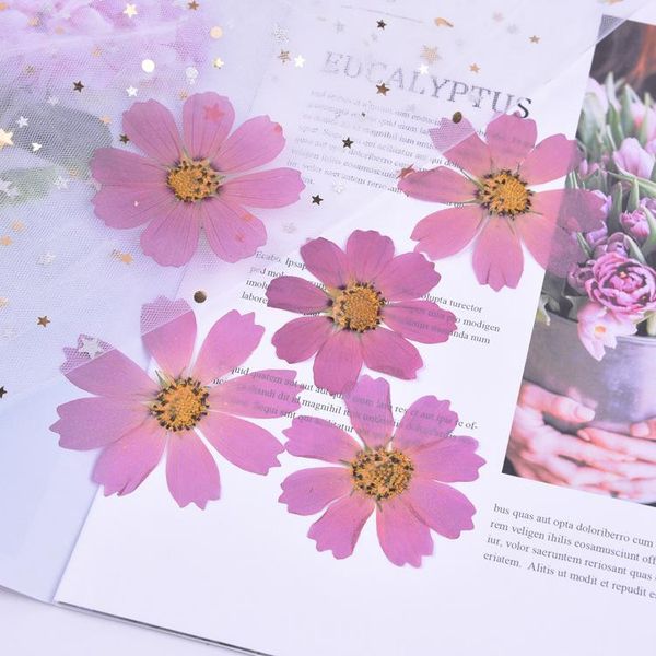 decorative flowers & wreaths persian chrysanthemum dried flower teacher's day handmade gift diy dripping glue party supplies decoration
decorative flowers & wreaths persian chrysanthemum dried flower teacher's day handmade gift diy dripping glue party supplies decoration