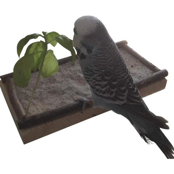 other bird supplies 2021 parrot biting toy springboard play platform wooden food container pet supply
other bird supplies 2021 parrot biting toy springboard play platform wooden food container pet supply