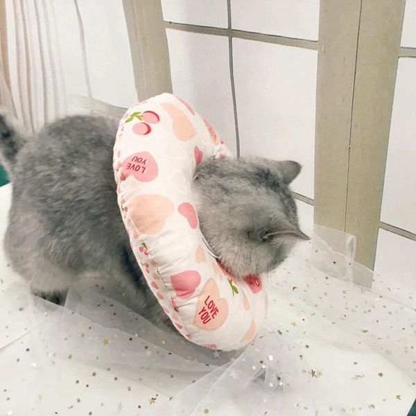 cat funny collar pet cotton elizabeth protective recovery for preventing licking wound double sides available collars & leads
cat funny collar pet cotton elizabeth protective recovery for preventing licking wound double sides available collars & leads