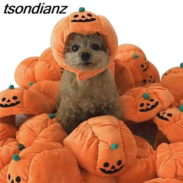 cat costumes halloween pet po props plush pumpkin hats for cats accessories funny dog costume
cat costumes halloween pet po props plush pumpkin hats for cats accessories funny dog costume