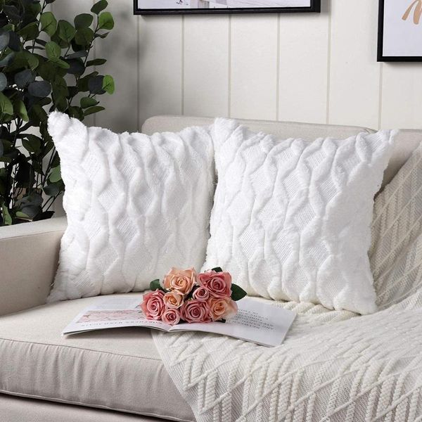 pillow case pack of 2 soft plush short wool decorative throw covers luxury style cushion shell for sofa-abux
pillow case pack of 2 soft plush short wool decorative throw covers luxury style cushion shell for sofa-abux