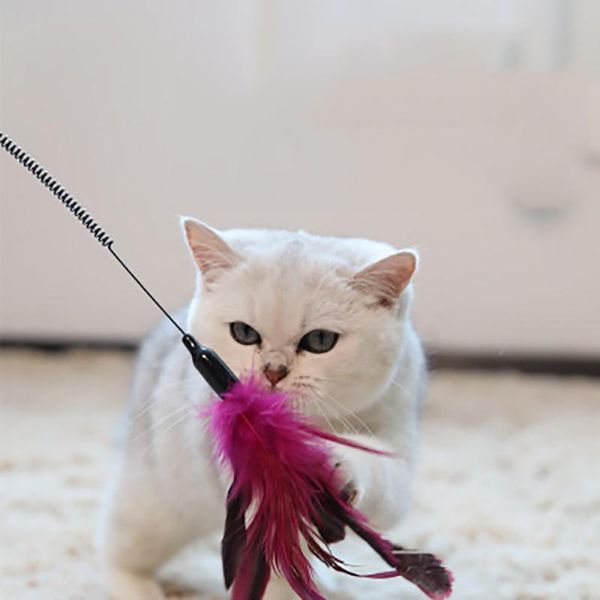 cat toys interactive funny wand feather and little bell squirrel cage toy plastic artificial multicolor trailer
cat toys interactive funny wand feather and little bell squirrel cage toy plastic artificial multicolor trailer