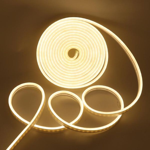 strips dc 12v led neon light lamp waterproof smd 2835 120leds/m sign ribbon tape flexible strip with power supply
strips dc 12v led neon light lamp waterproof smd 2835 120leds/m sign ribbon tape flexible strip with power supply