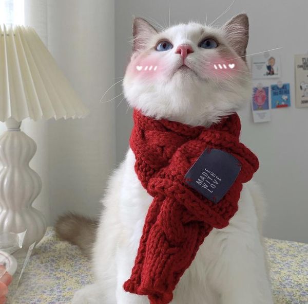 winter ins cat warm scarf knitted wool sweet cute dog collar bib pet accessories costumes
winter ins cat warm scarf knitted wool sweet cute dog collar bib pet accessories costumes