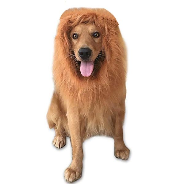 dog apparel halloween decoration fake lion mane wig for large dogs collar hoods fancy dress up brown pet costume cosplay cap
dog apparel halloween decoration fake lion mane wig for large dogs collar hoods fancy dress up brown pet costume cosplay cap