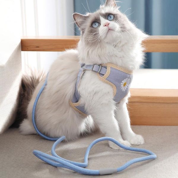 cat collars & leads a dog harness vest collar outdoor walking lead leash set for puppy dogs cute daisy pet
cat collars & leads a dog harness vest collar outdoor walking lead leash set for puppy dogs cute daisy pet