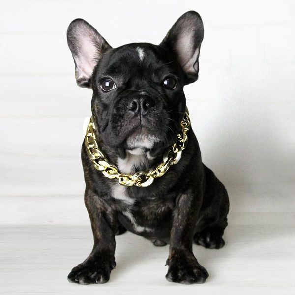 dog apparel pet gold chain plated necklace cat collars fashion thick plastic po props collar puppy dogs accessories supplies training
dog apparel pet gold chain plated necklace cat collars fashion thick plastic po props collar puppy dogs accessories supplies training