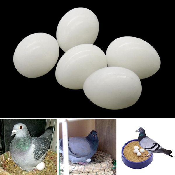 decorative flowers & wreaths 10 pcs simulation birds eggs fake pigeon parrot quail aviculture tools plastic nest hatching easter toy
decorative flowers & wreaths 10 pcs simulation birds eggs fake pigeon parrot quail aviculture tools plastic nest hatching easter toy