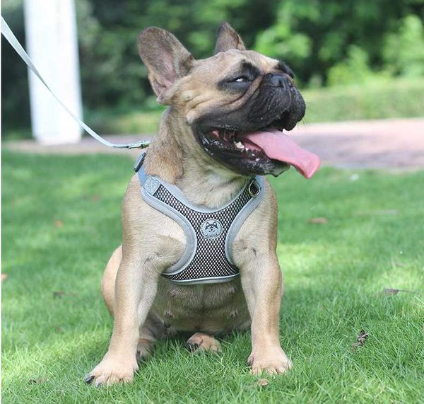 dog collars & leashes harness with leash summer pet adjustable reflective vest walking lead for puppy polyester mesh small medium
dog collars & leashes harness with leash summer pet adjustable reflective vest walking lead for puppy polyester mesh small medium