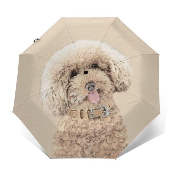 umbrellas poodle umbrella uv protection auto colorful design portable garden 
umbrellas poodle umbrella uv protection auto colorful design portable garden