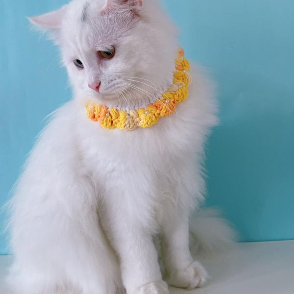 cat collars & leads necklace handmade yarn making cute accessories adjustable and dog collar
cat collars & leads necklace handmade yarn making cute accessories adjustable and dog collar