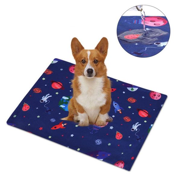 kennels & pens #56 dog mat winter pet blankets thicken warm kennel 3 sizes sofa bed for small medium big dogs pad soft cushion
kennels & pens #56 dog mat winter pet blankets thicken warm kennel 3 sizes sofa bed for small medium big dogs pad soft cushion