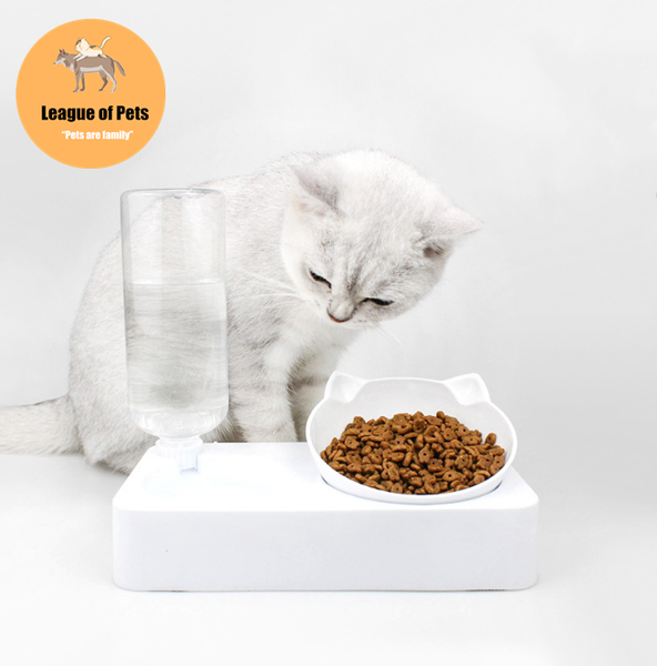 pet bowl automatic feeder dog cat with water dispenser double drinking raised stand dish bowls supplies & feeders
pet bowl automatic feeder dog cat with water dispenser double drinking raised stand dish bowls supplies & feeders