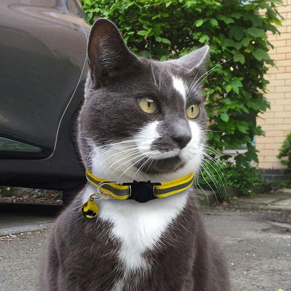 cat collars & leads bell collar for cats dog teddy bomei cartoon reflective bright accessories animal supplies
cat collars & leads bell collar for cats dog teddy bomei cartoon reflective bright accessories animal supplies