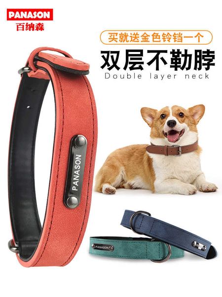 bernason soft traction chain large and small border grazing golden hair walking dog rope collar pet supplies
bernason soft traction chain large and small border grazing golden hair walking dog rope collar pet supplies