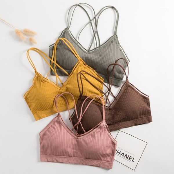 yoga outfit woman sports bra cross shoulder strap beautiful back fitness running gathering bras threaded tube underwear
yoga outfit woman sports bra cross shoulder strap beautiful back fitness running gathering bras threaded tube underwear