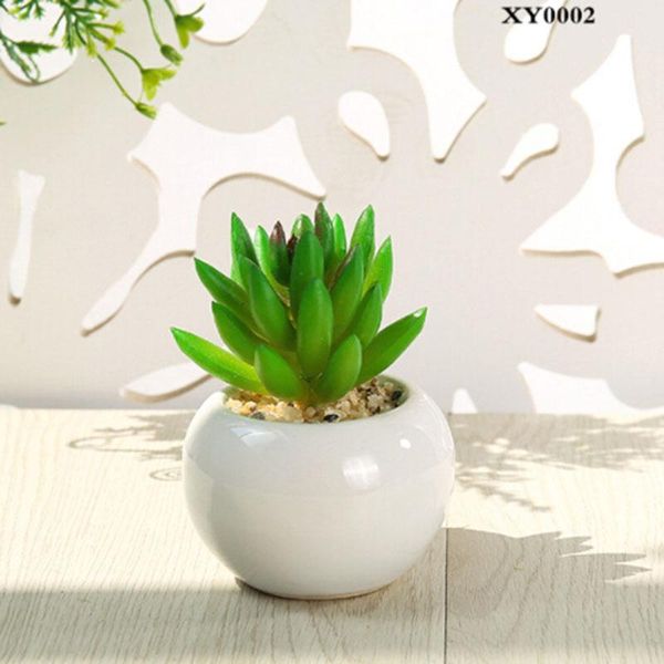 decorative flowers & wreaths 1pc artificial potted plant indoor mini fake pot plants display home room office table decoration
decorative flowers & wreaths 1pc artificial potted plant indoor mini fake pot plants display home room office table decoration