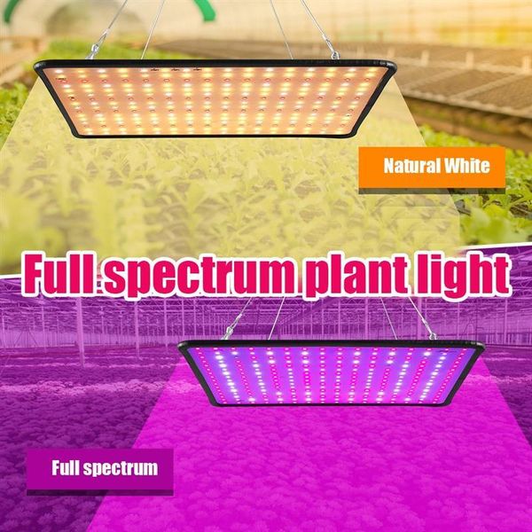 grow lights light full spectrum sunshine led growing lamps plant growth lighting for flowers cultivation vegetables seedling lamp
grow lights light full spectrum sunshine led growing lamps plant growth lighting for flowers cultivation vegetables seedling lamp