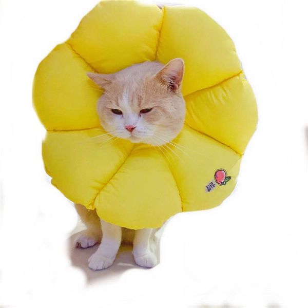 cat collars & leads soft protection cover pet collar wound healing cone protective dog recovery elizabethan prevent bite
cat collars & leads soft protection cover pet collar wound healing cone protective dog recovery elizabethan prevent bite