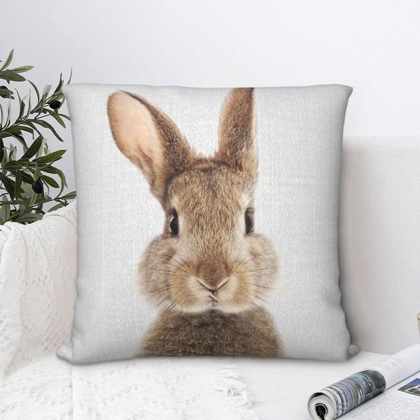 cushion/decorative pillow throw case cushion for home sofa chair decorative hug pillowcase
cushion/decorative pillow throw case cushion for home sofa chair decorative hug pillowcase