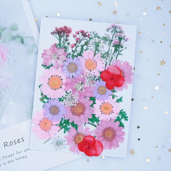 decorative flowers & wreaths 35pcs/pack pink natural dried combination diy pressed herbarium flower for resin jewelry crafts nail stickers
decorative flowers & wreaths 35pcs/pack pink natural dried combination diy pressed herbarium flower for resin jewelry crafts nail stickers
