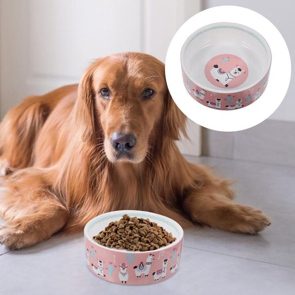 cat bowls & feeders pet feeder anti-skid dog bowl food water dish ceramic kitten
cat bowls & feeders pet feeder anti-skid dog bowl food water dish ceramic kitten