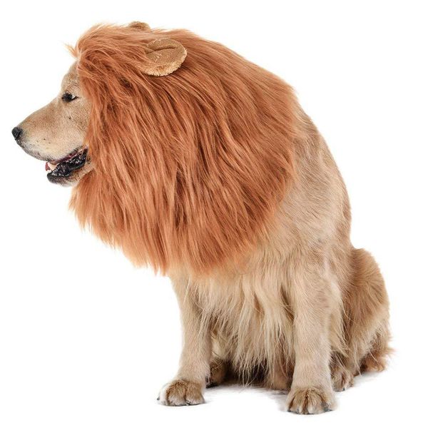 arge pet dog ion mane wig hair christmas dog wig hair costume fancy dress haoween gift cospay funny hat cap pet cute dress
arge pet dog ion mane wig hair christmas dog wig hair costume fancy dress haoween gift cospay funny hat cap pet cute dress