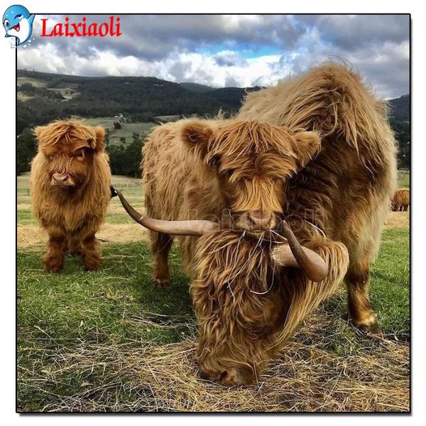 diamond painting 5d diy cow animal full square/round resin embroidery highland cattle picture cross stitch home decor
diamond painting 5d diy cow animal full square/round resin embroidery highland cattle picture cross stitch home decor