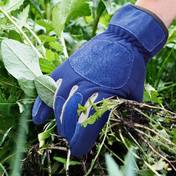 long gardening gloves rose pruning thorn proof garden with forearm protection gauntlets tryc889 disposable
long gardening gloves rose pruning thorn proof garden with forearm protection gauntlets tryc889 disposable