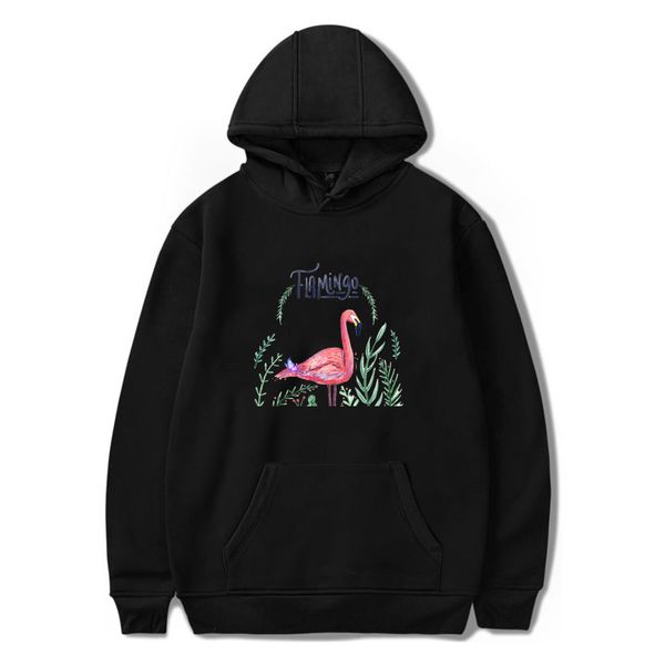 women hoodie y2k fan flamingo kids long sleeve pullover women-clothing men swearshirts tracksuit harajuku streetwear kawaii clothes, Black
women hoodie y2k fan flamingo kids long sleeve pullover women-clothing men swearshirts tracksuit harajuku streetwear kawaii clothes, Black