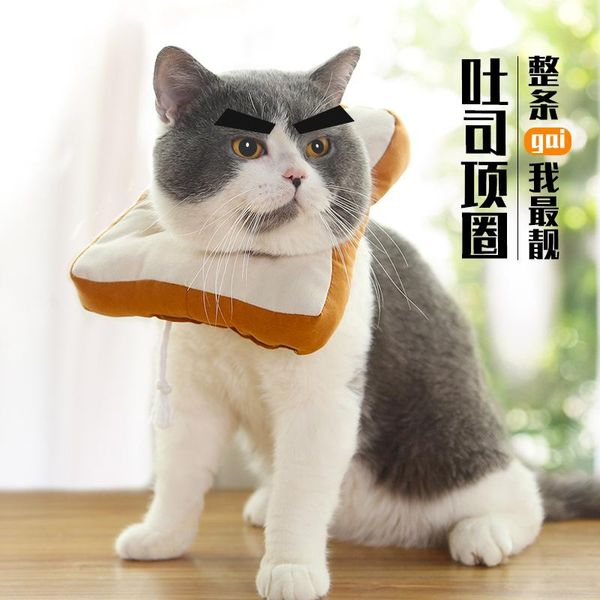 cat collars & leads adjustable elizabethan collar, toast collar for cats and dogs, pet anti-licking neutered anti-scratch
cat collars & leads adjustable elizabethan collar, toast collar for cats and dogs, pet anti-licking neutered anti-scratch