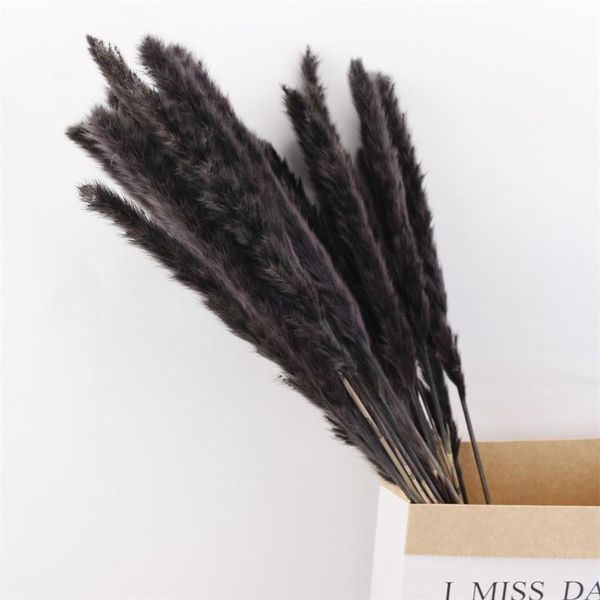 decorative flowers & wreaths 15 pcs dried reed home decor wedding decoration bouquet flores ins style mariage arrangement can diy office dec
decorative flowers & wreaths 15 pcs dried reed home decor wedding decoration bouquet flores ins style mariage arrangement can diy office dec