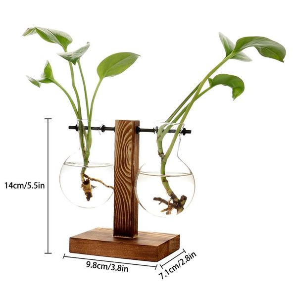 decorative flowers & wreaths hydroponic plant transparent wooden frame flower pot vase
decorative flowers & wreaths hydroponic plant transparent wooden frame flower pot vase