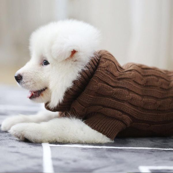 dog apparel autumn winter warm clothes for large small dogs cat pet knitted sweater jacket chihuahua
dog apparel autumn winter warm clothes for large small dogs cat pet knitted sweater jacket chihuahua