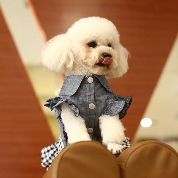 dog apparel 2021 summer pet lady clothes jeans tutu with bow-knot denim skirt for girl gog textured
dog apparel 2021 summer pet lady clothes jeans tutu with bow-knot denim skirt for girl gog textured