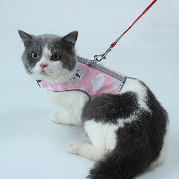 cat collars & leads dog harness vest reflective adjustable anti-strike chest strap traction walking lead leash collar
cat collars & leads dog harness vest reflective adjustable anti-strike chest strap traction walking lead leash collar