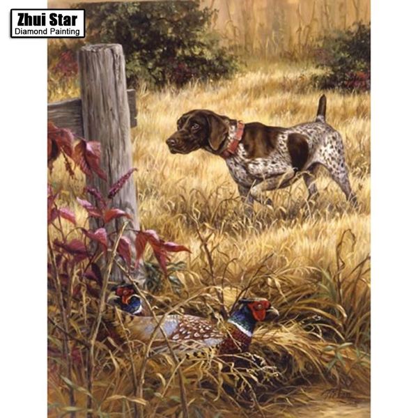 diamond painting full drill square 5d diy painting"pheasant and dog"diamond embroidery cross stitch rhinestone mosaic
diamond painting full drill square 5d diy painting"pheasant and dog"diamond embroidery cross stitch rhinestone mosaic