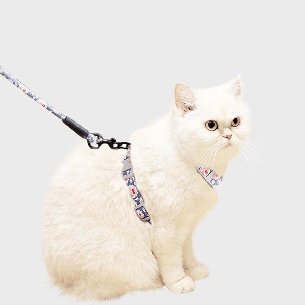 cat collars & leads pet leashes leash multifunctional comfortable padded handles durable for small medium and large js22
cat collars & leads pet leashes leash multifunctional comfortable padded handles durable for small medium and large js22
