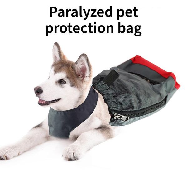 handicapped dog bag, anti-abrasion, abrasion, paralysis pet protection indoor 2-40kg available car seat covers
handicapped dog bag, anti-abrasion, abrasion, paralysis pet protection indoor 2-40kg available car seat covers
