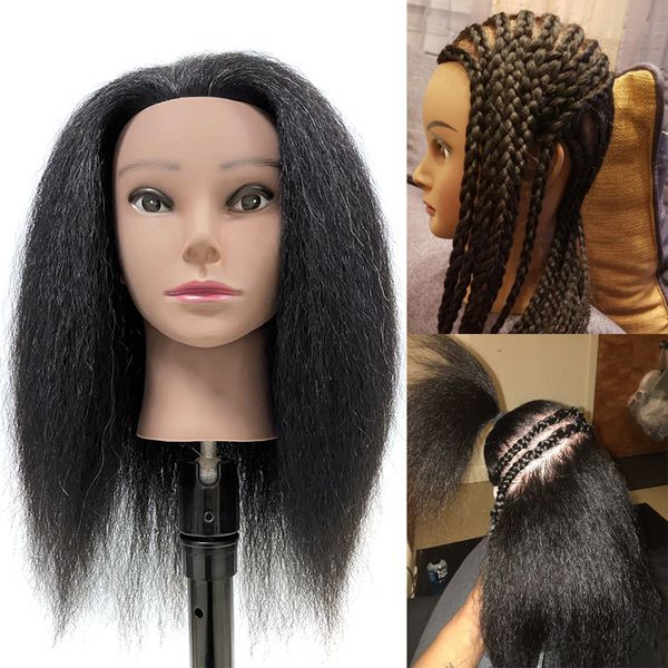 trainingheadafricanamericanmannequinheadwithrealhairforbraidinghairtraininghairartbarberhairdressingfashistylingfactory direct, Black
trainingheadafricanamericanmannequinheadwithrealhairforbraidinghairtraininghairartbarberhairdressingfashistylingfactory direct, Black
