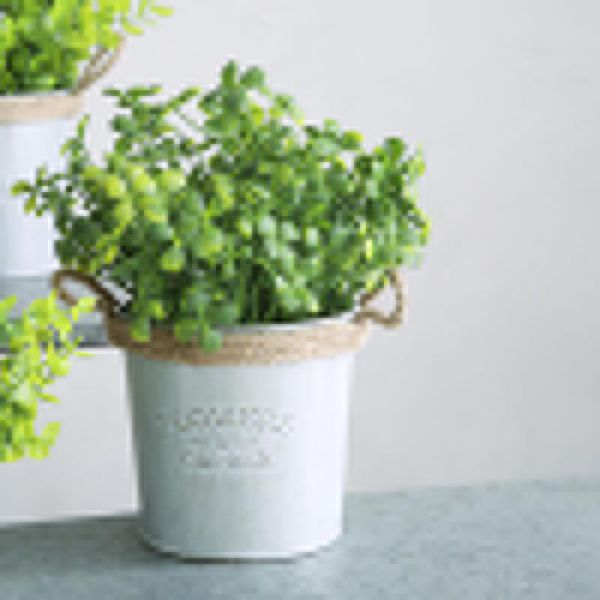 pastoral style flower pots tin bucket decoration handmade rope pot high-quality po props planters &
pastoral style flower pots tin bucket decoration handmade rope pot high-quality po props planters &