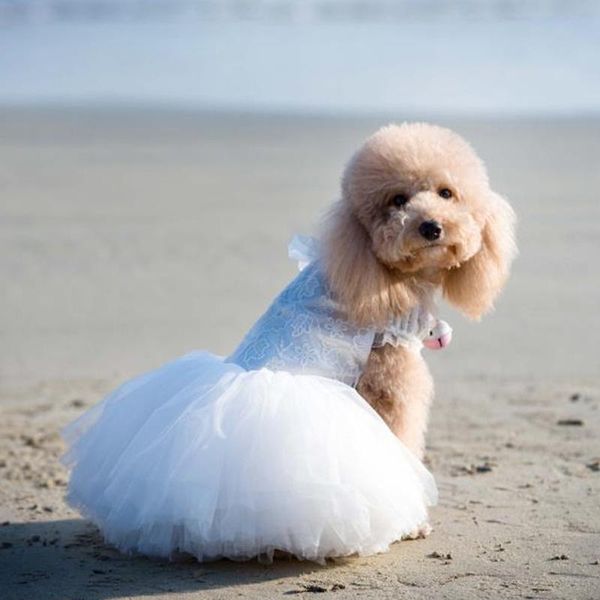 pet dog wedding dress handmade lace embroidered for small dogs artistic princess puppy bride clothes chihuahua poodle apparel
pet dog wedding dress handmade lace embroidered for small dogs artistic princess puppy bride clothes chihuahua poodle apparel